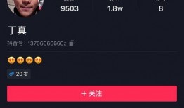 揭秘爆料博主视频下载安装,轻松获取热门内容攻略