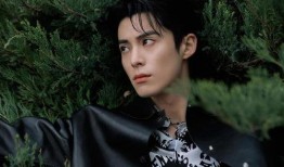 圈内人士爆料白鹿王鹤棣,圈内人士爆料，这对CP的甜蜜瞬间曝光！